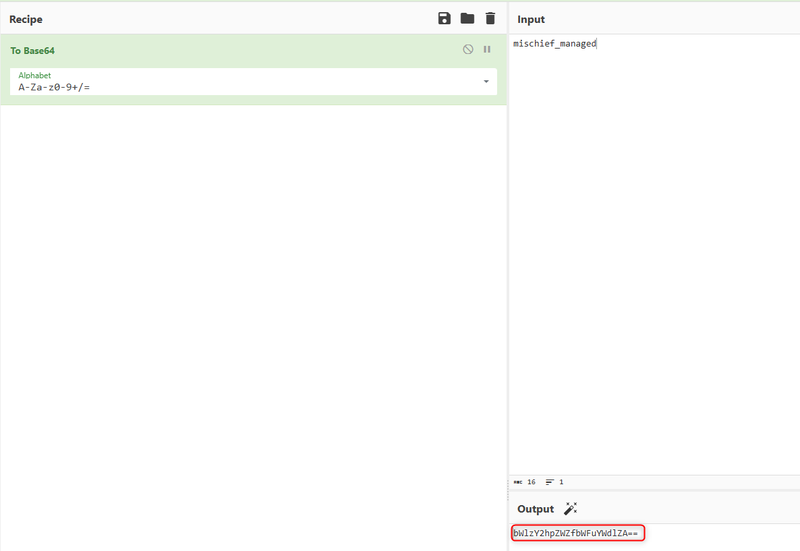 Figure 9: Illustrates the base64 encoding of the expected input string