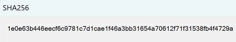 Figure 15: Depicts the SHA-256 hash of the Binary.viewer.exe file